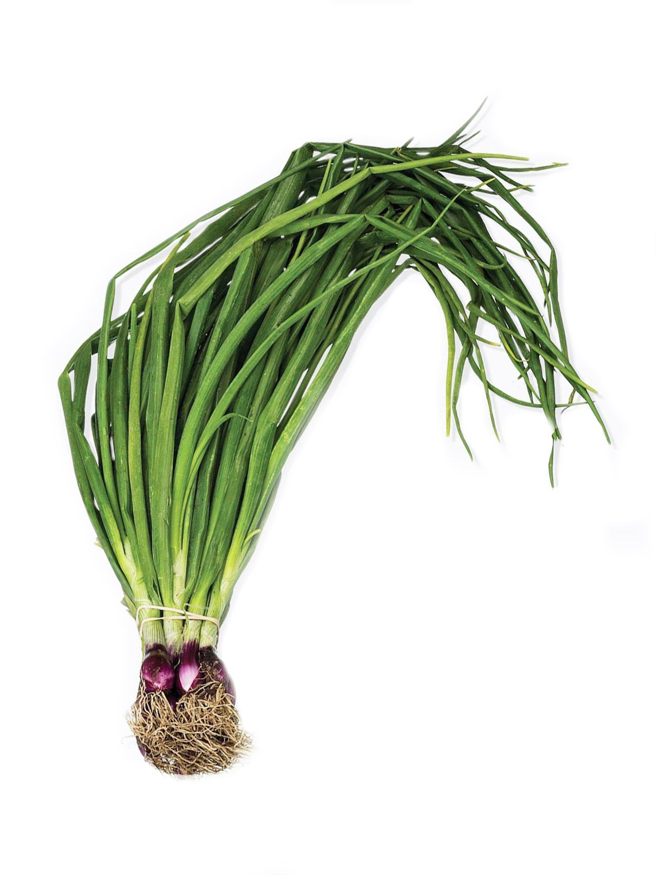 SPRING ONION (DAUN BAWANG) +/-200G