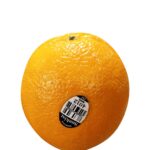 NAVEL ORANGE PC